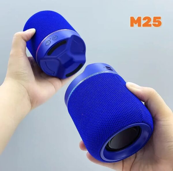 M25 Two-In-One Split Wireless DJ Speaker