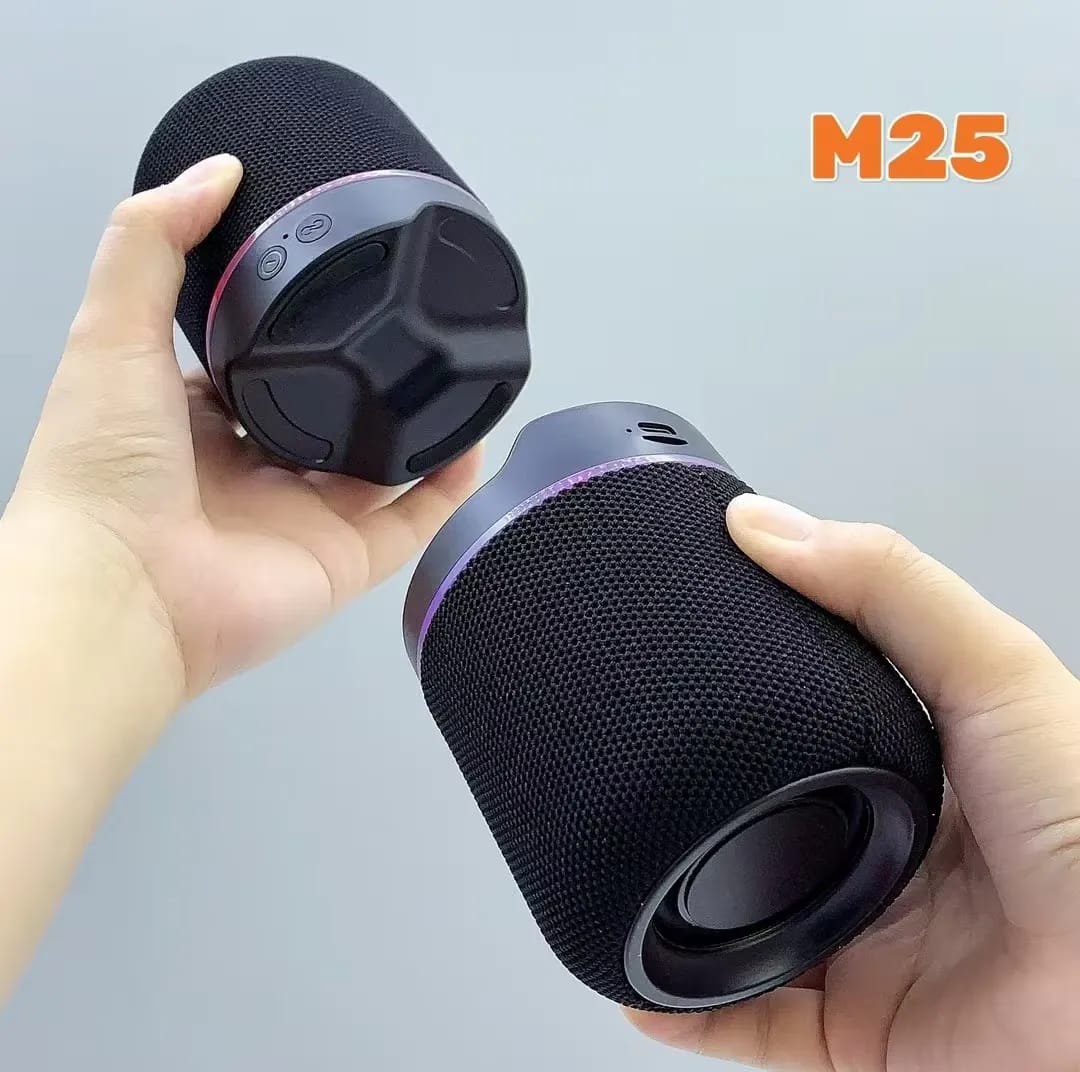 M25 Two-In-One Split Wireless DJ Speaker