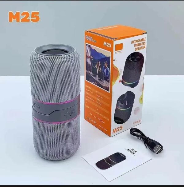 M25 Two-In-One Split Wireless DJ Speaker